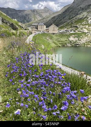 Passo del Gran San Bernardo, lato Svizzera, Foto Stock