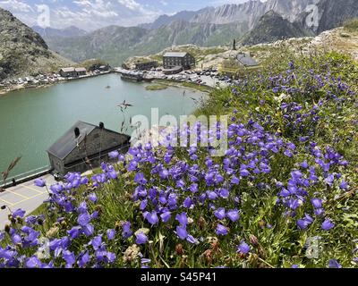 Passo del Gran San Bernardo, lato italiano, Svizzera Italia Foto Stock