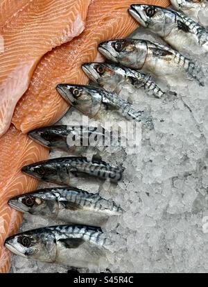 Una fila di filetti di sgombro e salmone su un letto di ghiaccio in un supermercato di pescivendoli Foto Stock