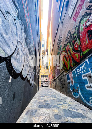 Strada laterale coperta da graffiti a Palma di Maiorca, nelle Isole Baleari Foto Stock