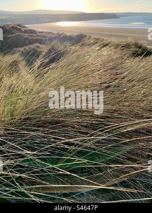 Tramontare il sole sulle dune di sabbia dorata sulla spiaggia Foto Stock