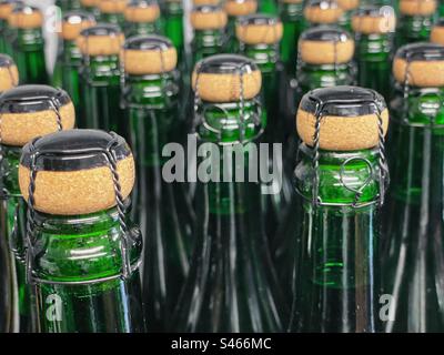 Bottiglie di sughero in un'azienda vinicola Foto Stock