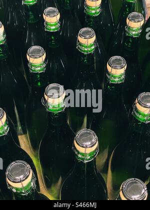 Bottiglie di vino con tappi in una cantina Foto Stock