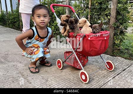 Babysitter filippino in posizione squat vicino a un passeggino con quattro cuccioli askal/aspin (cani di razza mista indigeni), Filippine Foto Stock