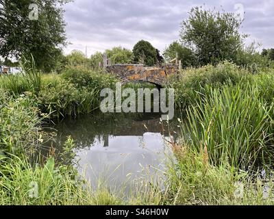 Vecchio ponte in mattoni sul Thames Footpath, fiume Tamigi, Cookham Moor, Cookham, Berkshire, Inghilterra Foto Stock