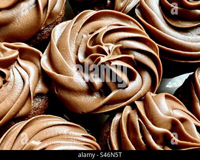 Tortini di cioccolato Foto Stock