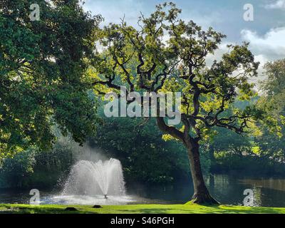 Fontana retroilluminata dal sole all'Astley Park di Chorley, Lancashire Foto Stock