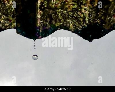 Gocce di pioggia che cadono da un tetto ondulato Foto Stock