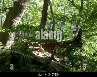 Bambino che sale su una ripida pendenza nella foresta Foto Stock