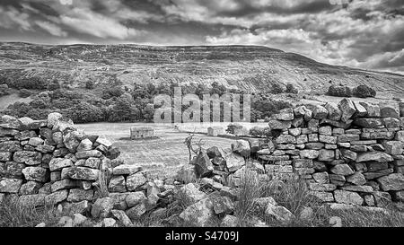 Una sezione danneggiata di muro a secco rivela vecchi fienili abbandonati nelle dolci colline del North Yorkshire. (Bianco e nero) Foto Stock