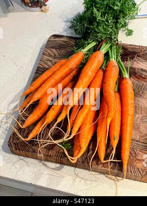 Un mazzo di carote fresche appoggiate su una tavola di legno, pronte per essere tritate e lavorate per cena, scattate dal punto di vista in prima persona Foto Stock