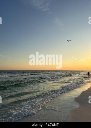 Silhouette pescatore con gabbiano a bordo al tramonto sul Golfo del Messico in Florida Foto Stock