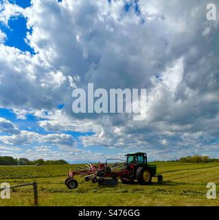 Rastrellare il fieno nell'Alberta meridionale, Canada, agricoltura, coltivazione, agricoltura, macchinari moderni, giorno di sole, che fanno fieno mentre il sole splende Foto Stock