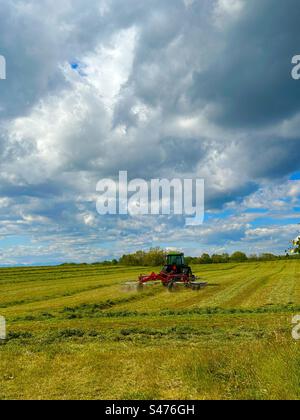 Rastrellare il fieno nell'Alberta meridionale, Canada, agricoltura, coltivazione, agricoltura, macchinari moderni, giorno di sole, che fanno fieno mentre il sole splende Foto Stock