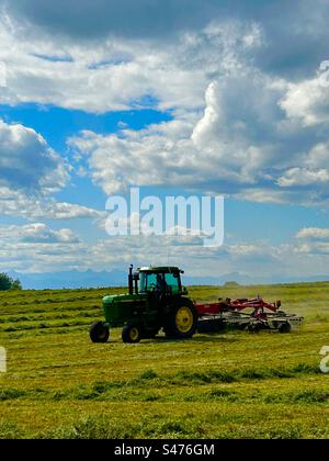 Rastrellare il fieno nell'Alberta meridionale, Canada, agricoltura, coltivazione, agricoltura, macchinari moderni, giorno di sole, che fanno fieno mentre il sole splende Foto Stock