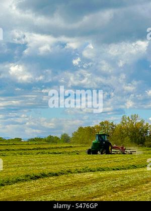 Rastrellare il fieno nell'Alberta meridionale, Canada, agricoltura, coltivazione, agricoltura, macchinari moderni, giorno di sole, che fanno fieno mentre il sole splende Foto Stock