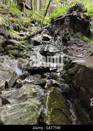 Glencoe Lochan Trails, vicino a Ballachulish, Scozia. Passeggiate nella natura in Scozia. Foto Stock