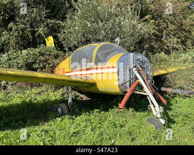 Aereo da traino aliante Morane Saulnier Rallye 180T abbandonato. Giù nelle erbacce con vegetazione troppo coltivata. Il motore è mancante Foto Stock