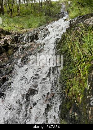 A pochi passi da Steall Falls. Lungo il percorso per la cascata di Steall, la gola di Nevis, vicino a Ben Nevis e Fort William in Scozia. Paesaggi e piccole cascate lungo il percorso verso la cascata principale. Foto Stock