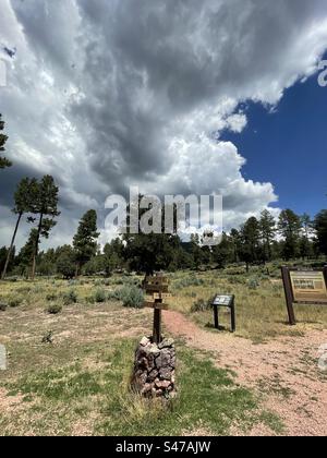 Arizona Trail, Pine View trailhead, pino torreggiante, enormi nubi monsoniche, cieli azzurri brillanti, Pine, Arizona Foto Stock