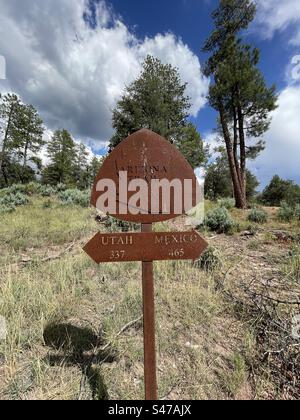 Indicatore del chilometraggio Arizona Trail, Pine View Trailing head, pino torreggiante, enormi nubi monsoniche, cieli azzurri brillanti, Pine, Arizona Foto Stock