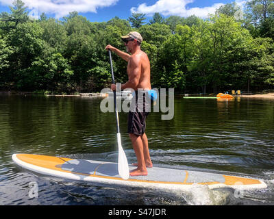 Uomo muscoloso in stand up paddle board, lago con alberi circostanti Foto Stock