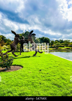 Scultura di Lepre, giardini Wisley Foto Stock
