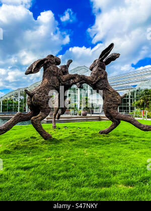 Scultura di Lepre, giardini Wisley Foto Stock