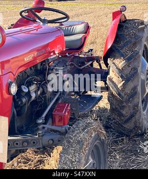 Trattore Massey Ferguson rosso d'epoca Foto Stock