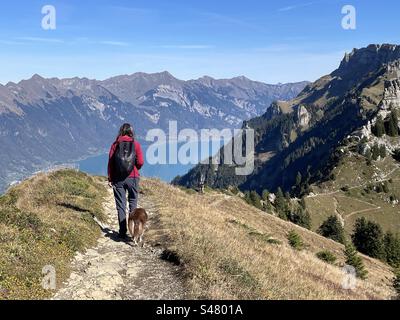 Escursioni a Schynige Platte e al lago di Brienz, alpi Bernesi, Svizzera Foto Stock