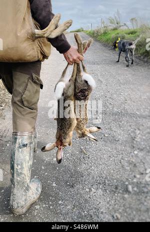 Hunter e il suo cane tornano a casa dopo una caccia con alcune lepri Foto Stock