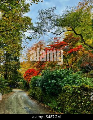 Colori autunnali su una strada di campagna con pareti in pietra nel Lake District in Inghilterra Foto Stock