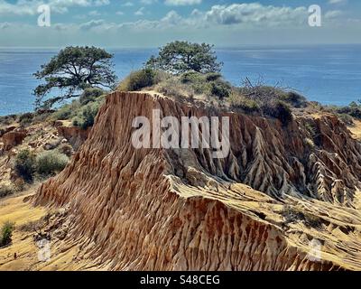 Vista da una prospettiva panoramica nella riserva naturale statale di Torrey Pines che comprende scogliere di arenaria, esempi degli alberi che hanno dato il nome all'area e l'Oceano Pacifico. Foto Stock