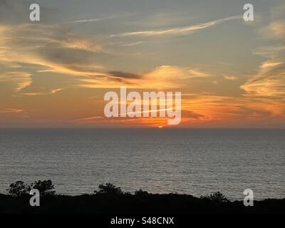 Tramonta sull'Oceano Pacifico con i pini Torrey in primo piano nella riserva naturale di Torrey Pines vicino a San Diego, California. Foto Stock