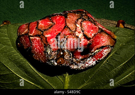 Lomo de tartare (loin tartar) in un raffinato ristorante di Buenos Aires Foto Stock