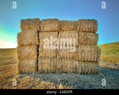 Balle di fieno nella campagna toscana Foto Stock