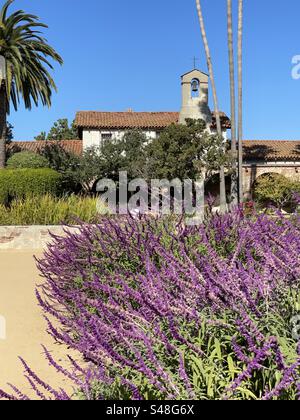 San Juan Capistrano, California Mission, giardini nel cortile centrale, Mexican Bush Sage, Orange County California Foto Stock