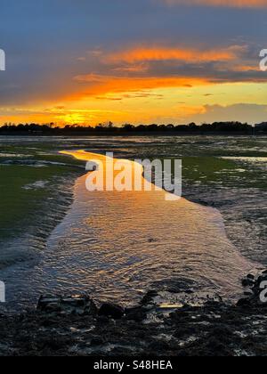 Tidal creek alla bassa marea nel porto di Langstone, Hampshire, tramonto di ottobre. Foto Stock