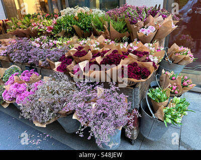 Fiori in un negozio di fioristi a Gothenburg, Svezia, con il riflesso del fotografo alla finestra. Foto Stock