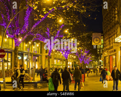 Mercatino di Natale sulla Hayes nel centro di Cardiff: Phillip Roberts Foto Stock