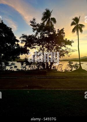 Ingresso Pacifico al canale di Panama. Nave dietro gli alberi al tramonto. Vista dal Radisson Hotel panama Canal. Foto Stock