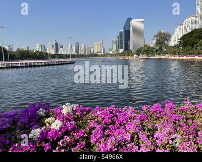 Bangkok’s Benchakitti Park: a vibrant urban escape with lush blooms and skyscrapers—a serene city snapshot. Stock Photo