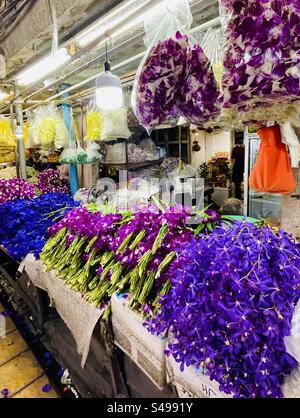 Orchidee colorate in mostra al mercato dei fiori di Pak Khlong Talat a Bangkok. Foto Stock