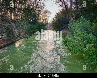 Fiume di colore verde che scorre tra i pini nel Giardino inglese di Monaco. Foto Stock