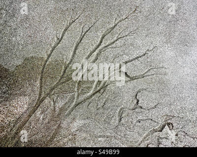 Primo piano di motivi sulla sabbia in spiaggia fatti dalla marea strisciante Foto Stock