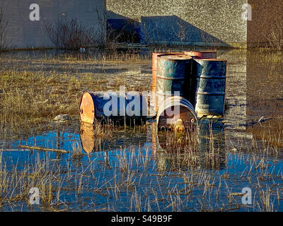 Vecchi fusti d'olio smaltiti che contaminano un campo Foto Stock