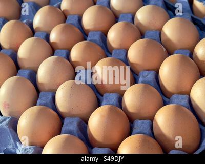 Uova di galline in vendita in un negozio agricolo del Worcestershire, riposate in un vassoio di cartapesta blu Foto Stock