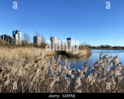 Woodberry Wetlands Nature Reserve in inverno, North London, Inghilterra Foto Stock
