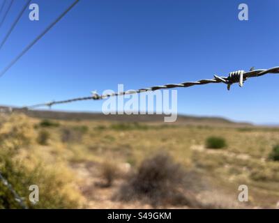 Recinzione di filo spinato nell'entroterra del Sud Africa Foto Stock