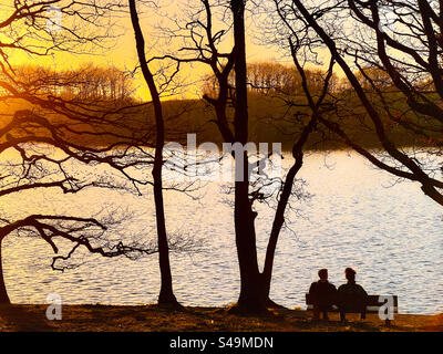 Coppia seduta sulla panchina tra gli alberi vicino al bacino idrico di Rivington a guardare il tramonto. Rivington vicino a Chorley nel Lancashire. Foto Stock